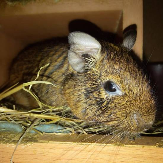 Температура тела - нормальная, повышенная и пониженная | университетская клиника