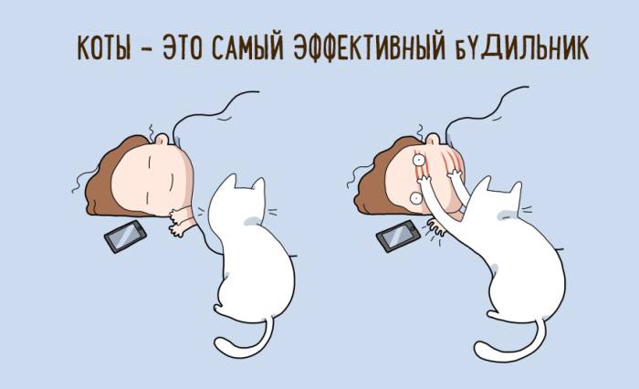 Стоит ли завести кота? 10 научно обоснованных причин