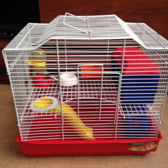 Клетка для хомяка: как выбрать?