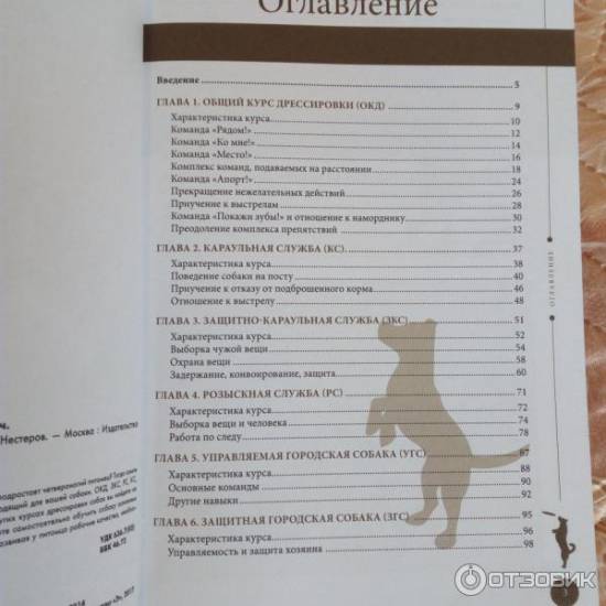 Как дрессировать собаку в домашних условиях, научить командам правильно: взрослую, дворнягу