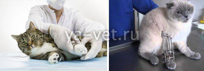 Причины переломов