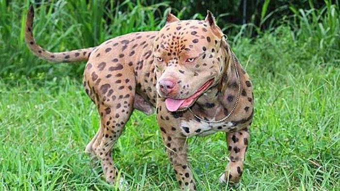 Площадка omgomgomg onion