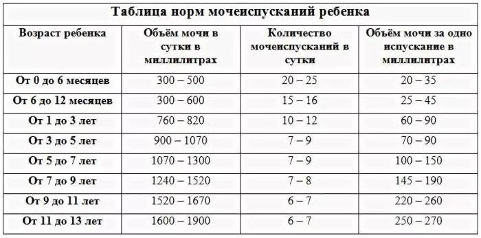 Сколько раз в день кормить котенка: период от рождения до года | ваши питомцы