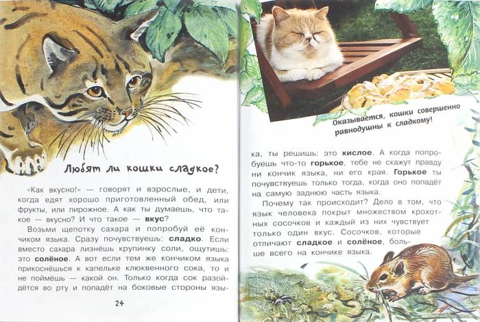 Подрезание короткой уздечки верхней губы у детей: зачем подрезают и нужно ли