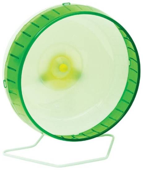 Колесо для хомяка незаменимо