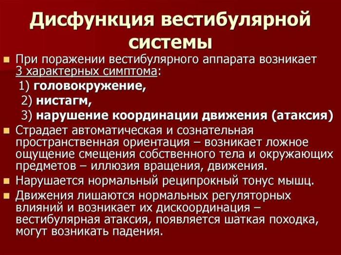 Вестибулярный синдром у собак: причины, симптомы, лечение