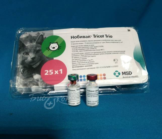 Вакцина нобивак трикет трио для кошек: инструкция по применению