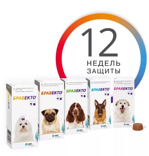 Бравекто от клещей для собак массой 4,5-10 кг. бравекто в табл. по 250 мг