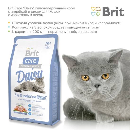 Гипоаллергенный корм для кошек: все о пищевой аллергии у кошек