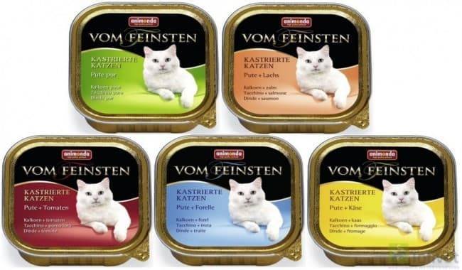 Корм для кошек анимонда (animonda) - отзывы и советы ветеринаров