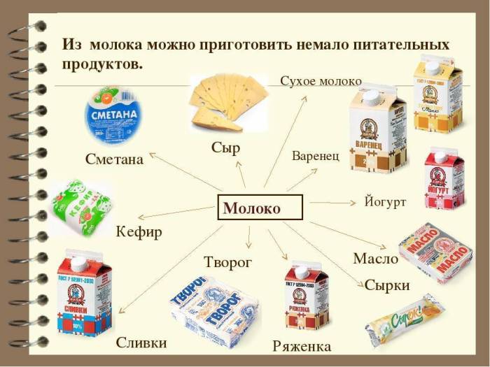 Чем кормить хомяков: разрешенные и запрещенные продукты