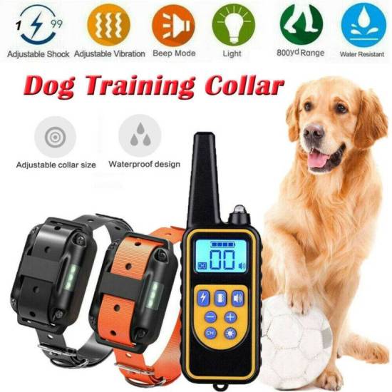 Список лучших электронных ошейников для собак