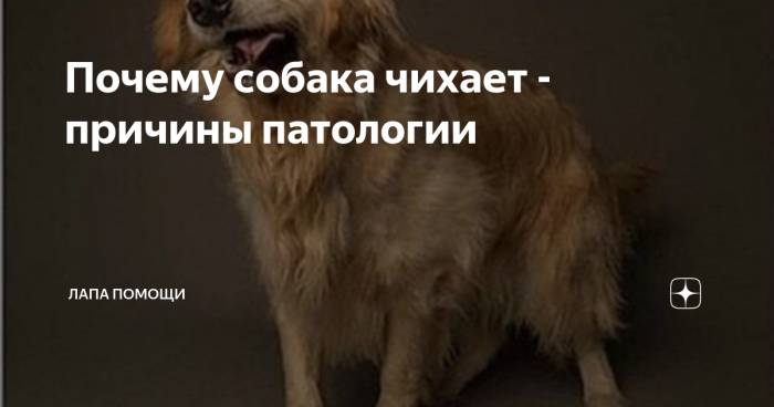 Как сбить температуру у ребенка в домашних условиях - какую температуру нужно сбивать ребенку