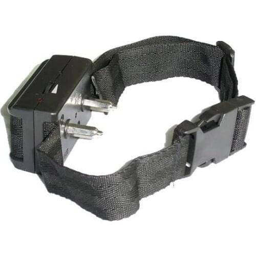 Ошейник для собак с электрошоком как важный атрибут послушания