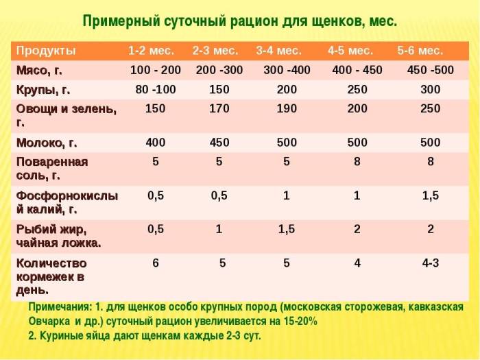 Субпродукты для собаки: какие давать, как часто и в каком количестве, чтобы не было вреда. наиболее ценные субпродукты и особенности их скармливания