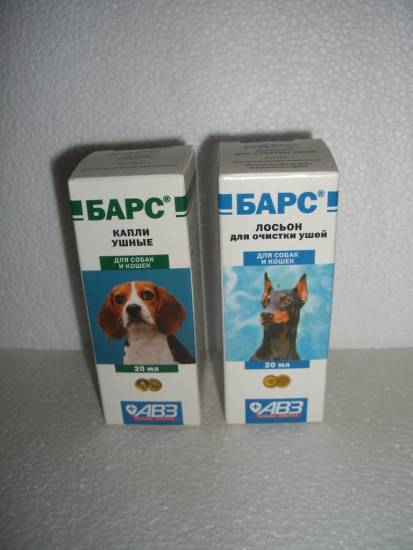 Лосьон для ушей для собак: использование, преимущества