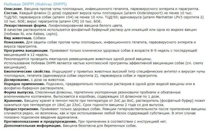 Собака после прививки: уход, ограничения, осложнения