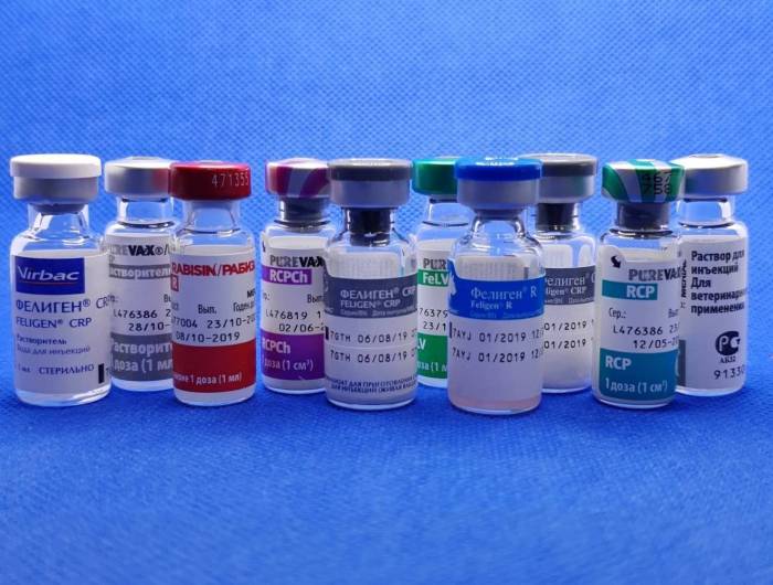 Нобивак для кошек: инструкция по применению | звери дома