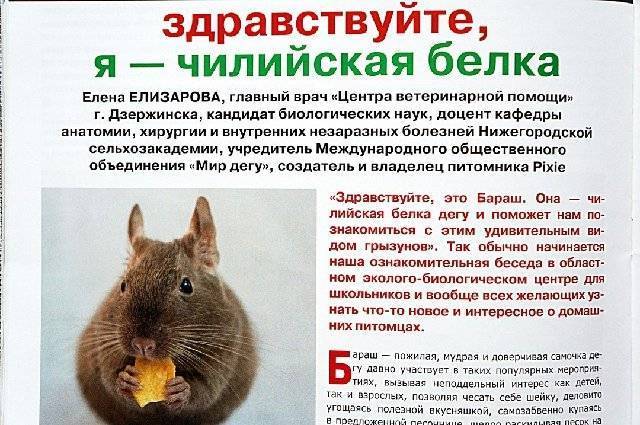 Желуди - корм для домашних животных