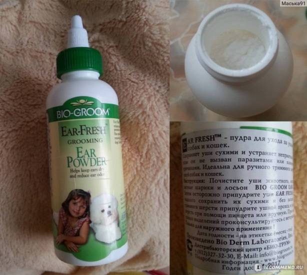 Как чистить уши собаке: нужно ли, как часто и правильно почистить в домашних условиях, средства для чистки, можно ли делать это хлоргексидином и перекисью водорода?