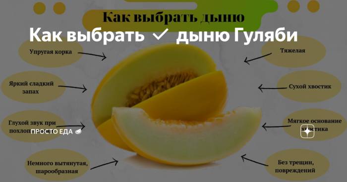 Какие овощи можно давать попугаю?