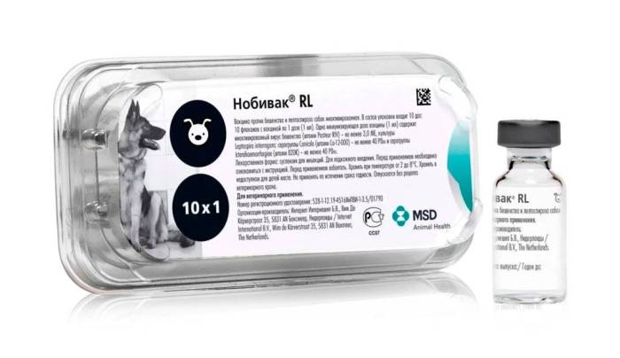 Какие бывают вакцины для собак, и какие из них лучше использовать | лапа помощи | дзен