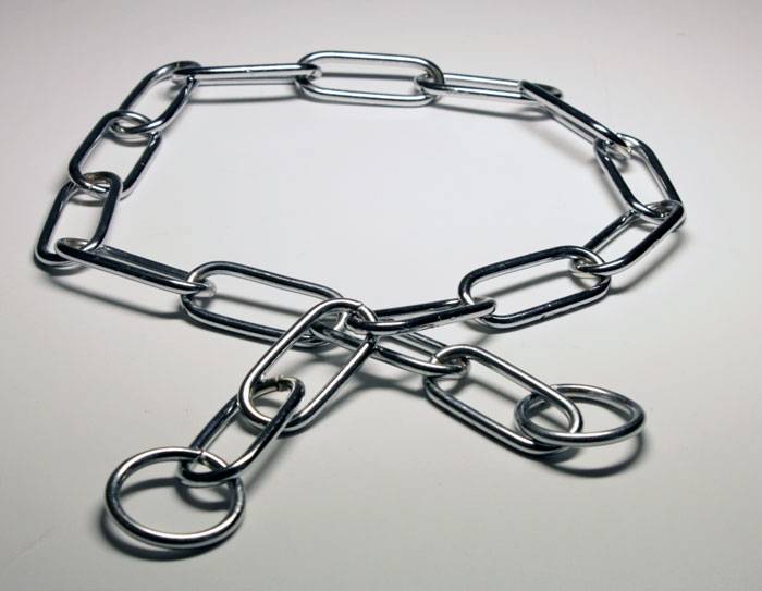 Как выбрать рывковый ошейник и посадить собаку на цепь во дворе дома