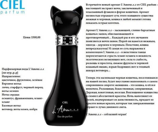 Эксперт назвал 6 запахов, которые ненавидят кошки