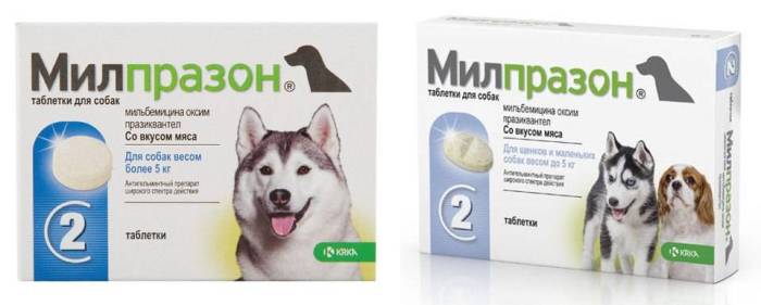 Бромгексин — инструкция по применению препарата, описание вещества