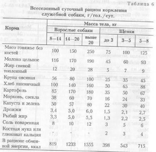 Как правильно кормить собаку