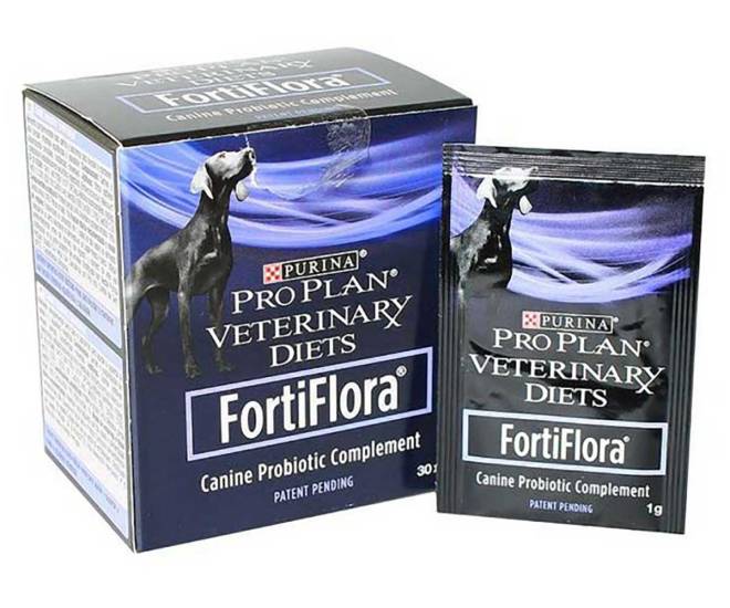 Пробиотик «фортифлора» для собак: состав, инструкция по применению