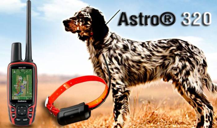 Трекер gps – лучший ошейник для собаки