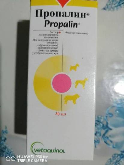 Инструкция по применению и аналоги пропалина для собак