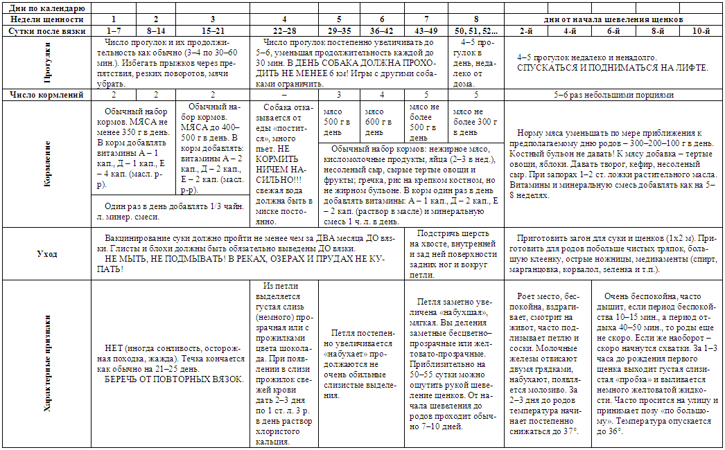 Продолжительность течки у собак