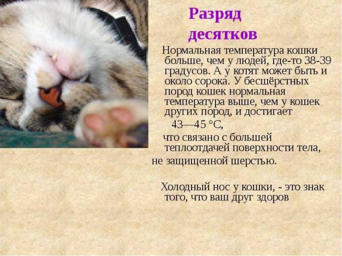 Тонзиллит: симптомы, лечение у детей, взрослых, беременных