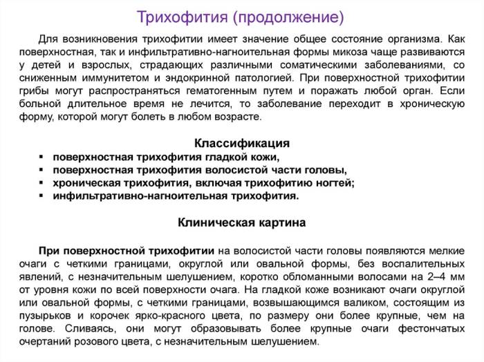 Трихофития у собак – полная информация об опасном заболевании | ваши питомцы