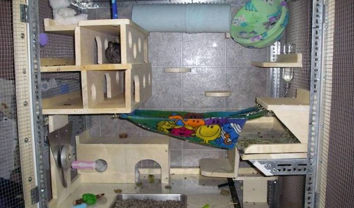 Игрушки для шиншилл: какие бывают и как сделать своими руками. игрушки для развлечения шиншилле изделия для шиншилл своими руками