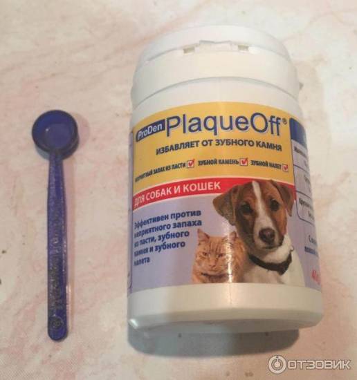 Зубной камень у собак