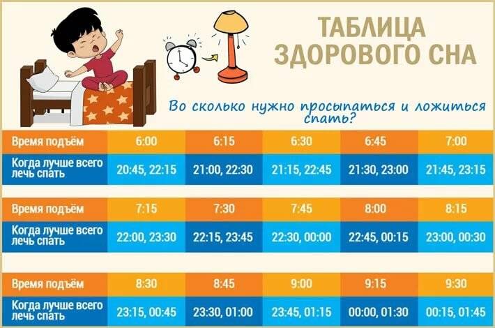 Как спят шиншиллы и можно ли приучить спать ночью?