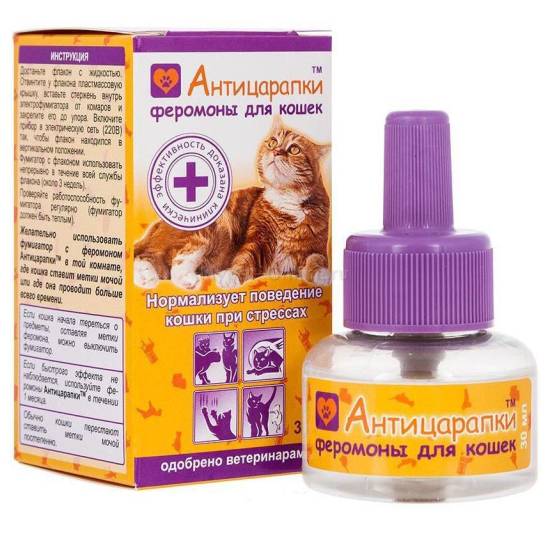 Кошачьи антицарапки, их особенности, правила применения | блог ветклиники "беланта"