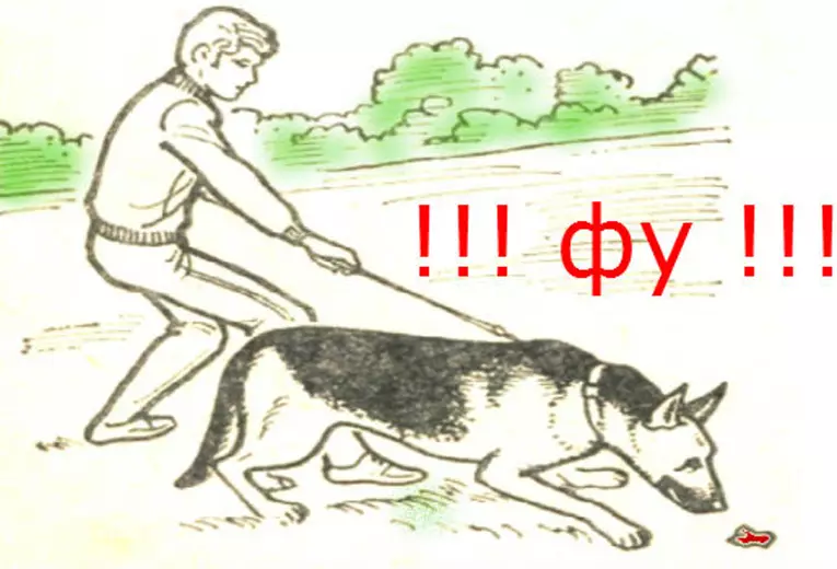 Как научить собаку команде «фу!»