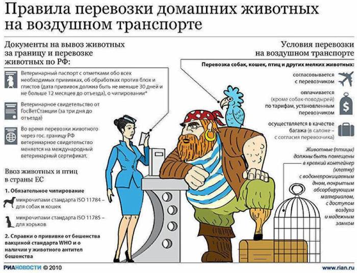 Как нужно правильно перевозить собаку самолетом по россии и за границу