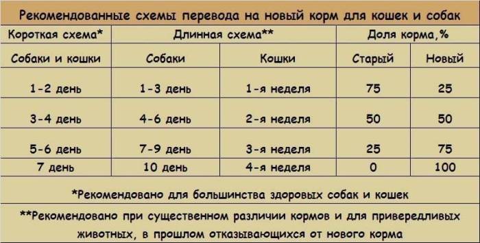 Как перевести собаку на сухой корм