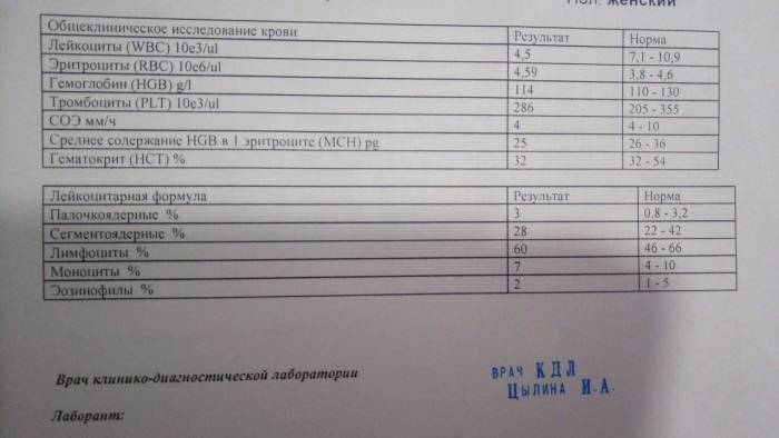 Анализ мочи на лейкоциты: расшифровка, норма - клиника в уручье