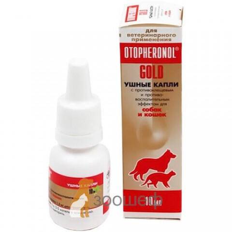 Ушной клещ у кошек: выбор средства и проведение терапии