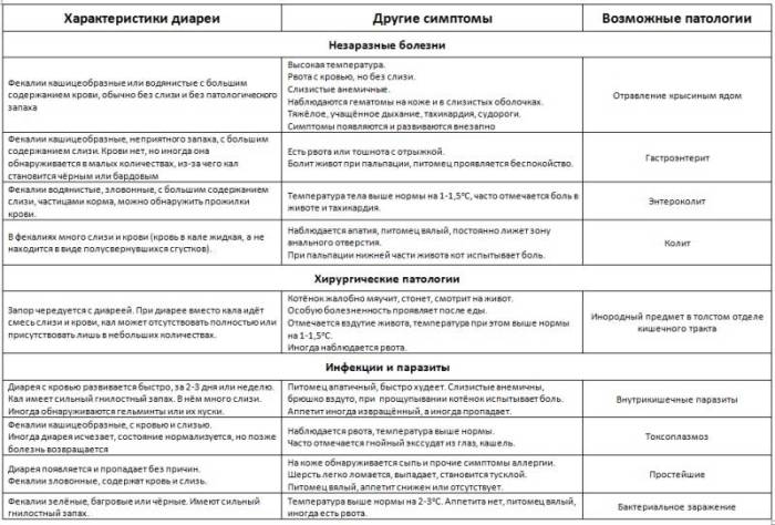 Распространенные болезни кошек, симптомы и лечение, видео инструкция