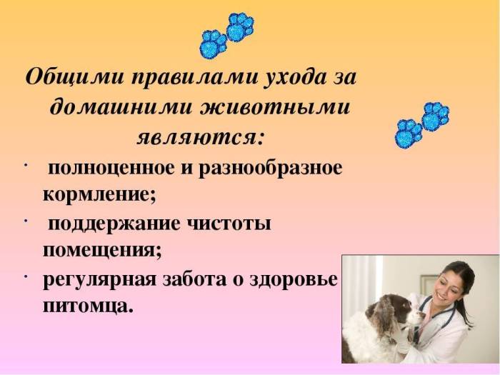 Как познакомить собаку с кошкой - dogtricks.ru