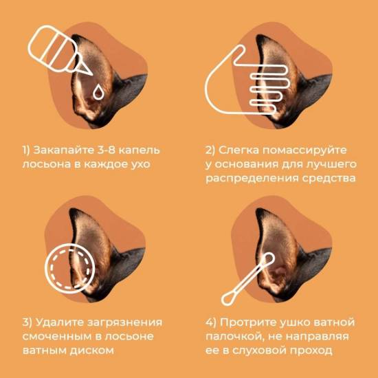 Как чистить уши собаке: частота процедуры, средства для чистки ушей у собак, что делать, если собака не дает чистить уши, приучение щенка к гигиене