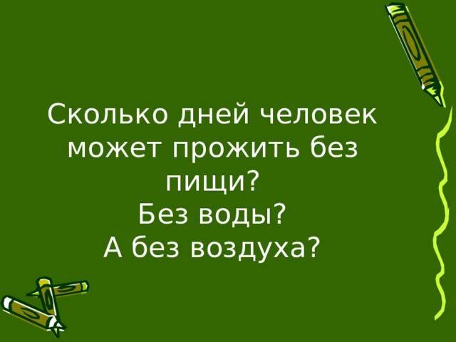 Сколько кошка может прожить без еды и воды, почему котёнок не пьёт воду и как его приучить это делать
