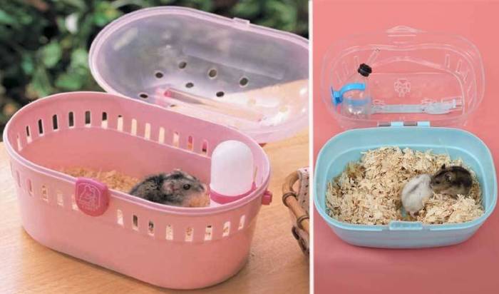 Переноска для хомяка: зачем нужна, сколько стоит, как сделать своими руками и транспортировать питомца в поезде, машине и самолете (зимой и летом)
